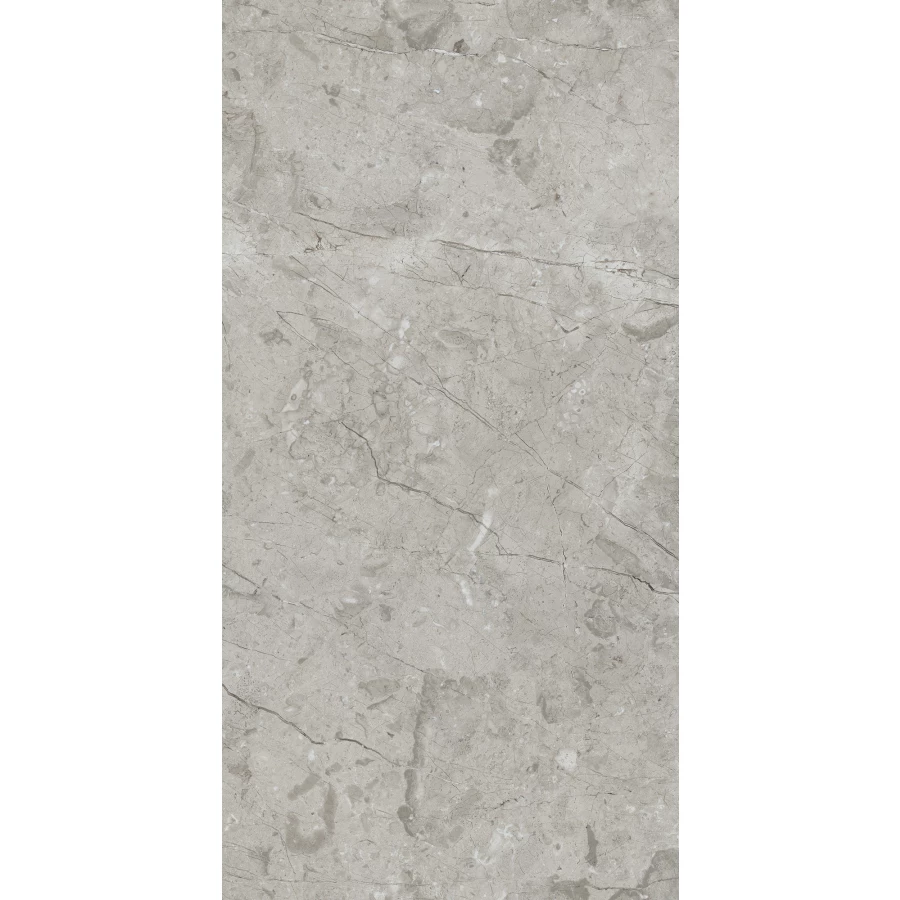 Керамогранит Arcadia Ceramica Marcus Gracia Matt матовый серый RT7017-A 120х60 см