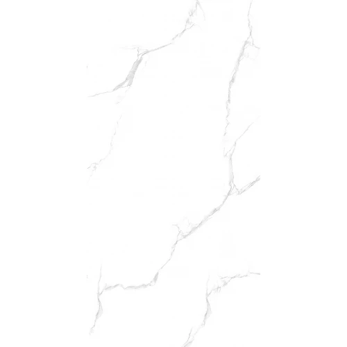 Керамогранит Maimoon Ceramica Maimoon Silver satuario 120х60 см