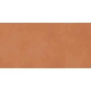 Керамогранит Imola Ceramica Retina RTN6 ARANC12 RM матовый оранжевый 120х60 см
