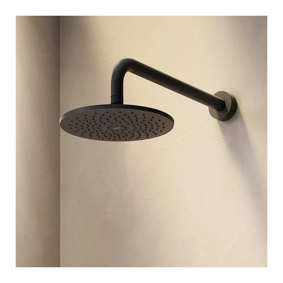 Тропический душ Am Pm Gem F0590022 220 мм