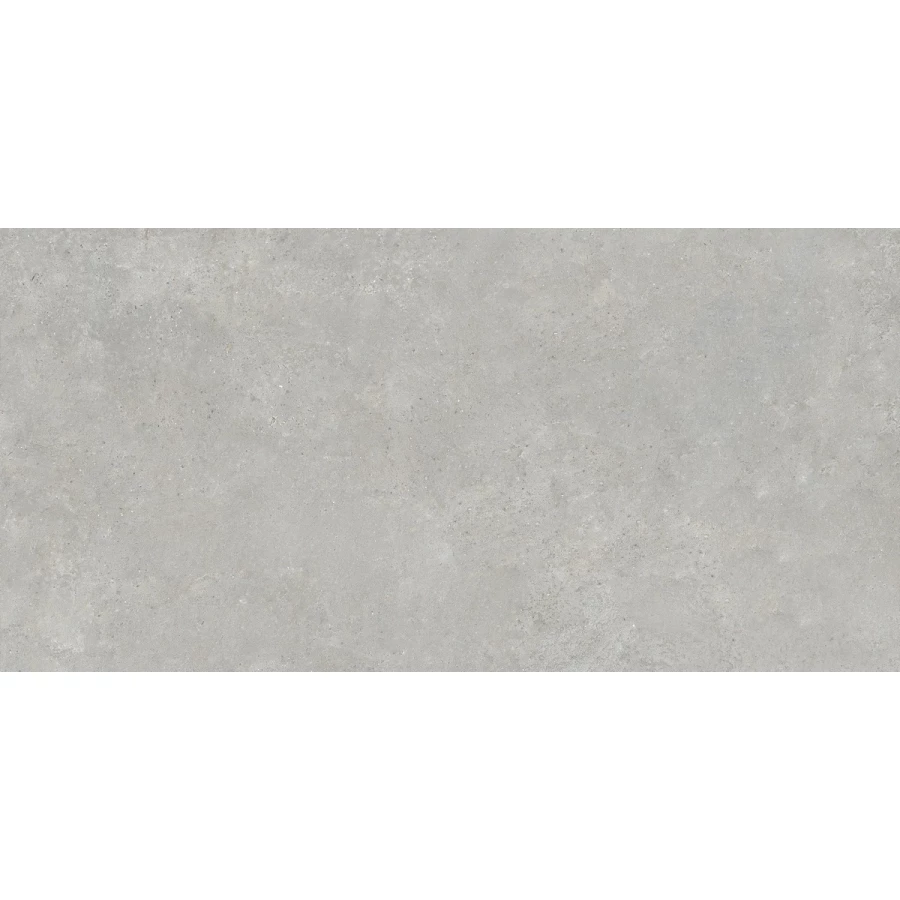 Керамогранит Neodom Loft Urban Grey Matt матовый серый N110009 120х60 см