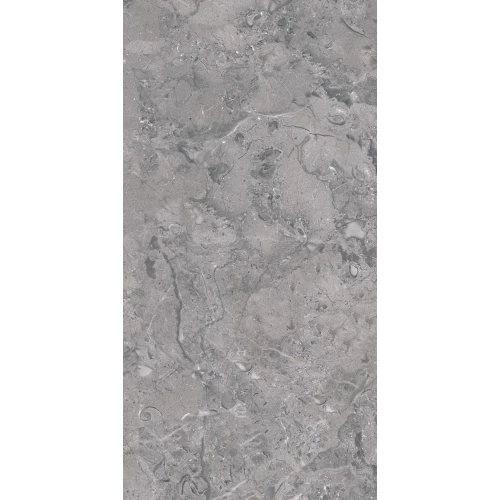 Керамогранит Seratonia Carving-Glossy Elegance Dark Grey темно-серый 120х60 см