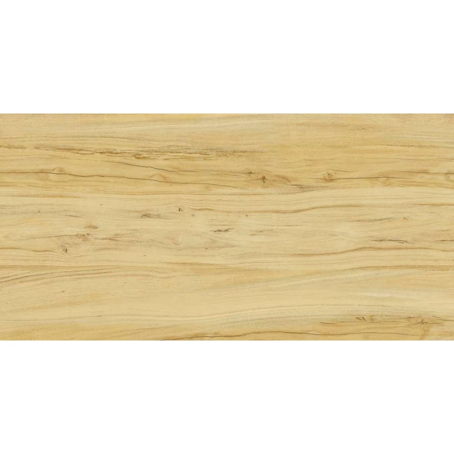 Керамогранит Kerranova Alleya структура медовый К-2101/SR 120х60 см