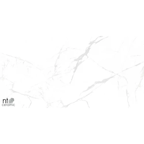 Керамогранит NT Ceramic Marmo Callacata carving Карвинг NTT99607M 120х60 см