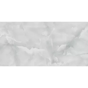 Плитка настенная Primavera Сильвия светлый серый глянец TP3666A 60х30 см