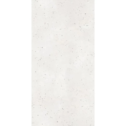 Керамогранит ProGRES Bianco Terrazzo матовый белый PRO 0273M 120х60 см
