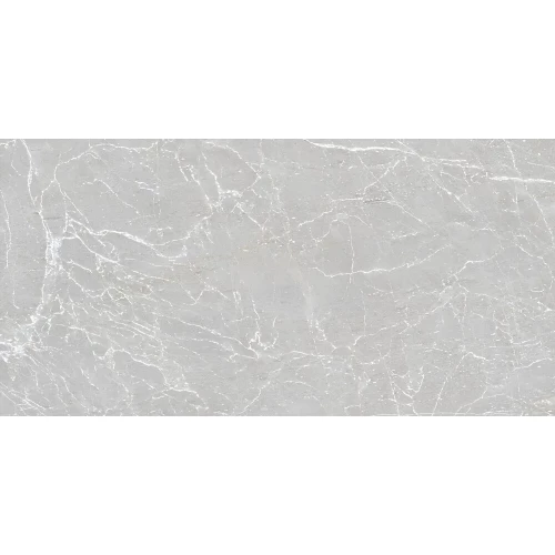 Керамогранит Duna Eternal Grigio Carving светло-серый RP-238576 120х60 см