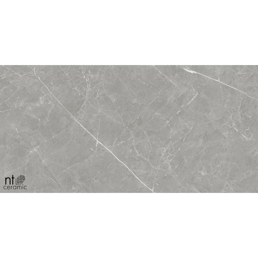 Керамогранит NT Ceramic Pietra NTT1102 Лаппатированный PT612NTT1102L 120х60 см