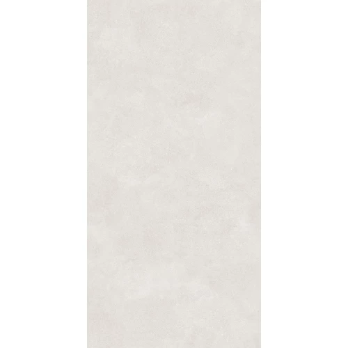 Керамогранит Lasselsberger Ceramics Оттепель матовый светло-серый 6493-0137 120х60 см