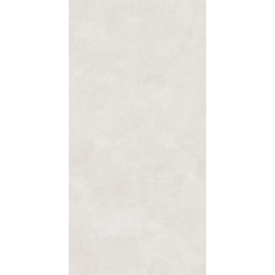 Керамогранит Lasselsberger Ceramics Оттепель матовый светло-серый 6493-0137 120х60 см