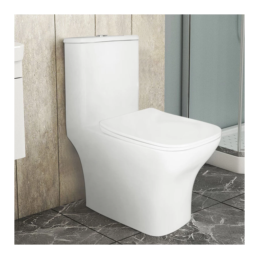 Унитаз моноблок с функцией биде Azario Lodi напольный безободковый горизонтальный слив сиденье дюропласт микролифт AZ-8617B 35х66.5х75 см