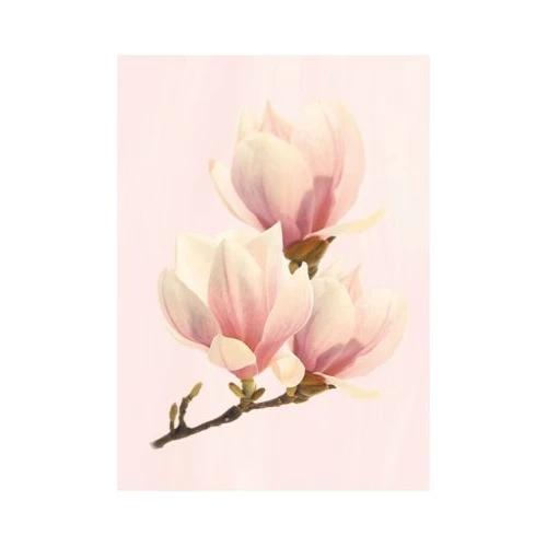 Декор Axima Агата D розовая 25*35 см