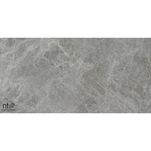 Керамогранит NT Ceramic Bright and Shiny Tundra Grey mat Матовый NTT9119M 120х60 см