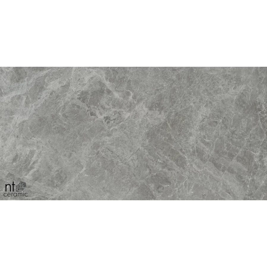 Керамогранит NT Ceramic Bright and Shiny Tundra Grey mat Матовый NTT9119M 120х60 см