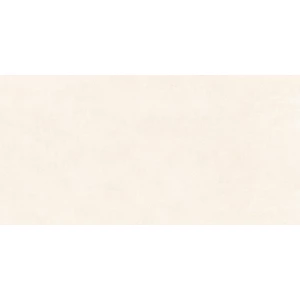 Керамогранит матовый ALMA Ceramica Berlin 1,44 кв.м. 0,85GFU60120BLN04R 120х60х0,85 см