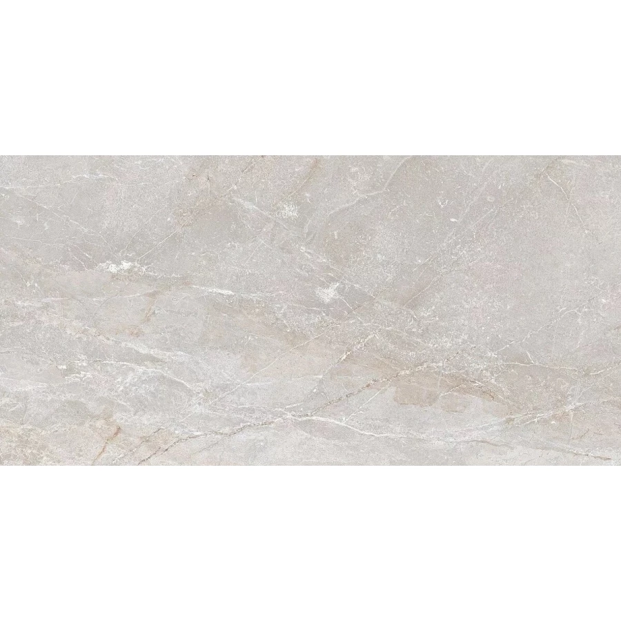 Керамогранит Art Ceramic Stonico Oyster Grey Glossy 1,44 м2 120х60 см
