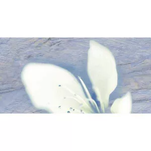 Декор Нефрит-Керамика Реноме голубой 04-01-1-10-03-61-221-0 50х25 см