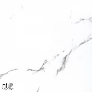 Керамогранит NT Ceramic Bright and Shiny NTT9100 Полированный BB6NTT9100P 60х60 см