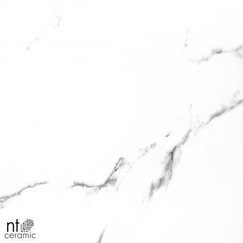 Керамогранит NT Ceramic Bright and Shiny NTT9100 Полированный BB6NTT9100P 60х60 см