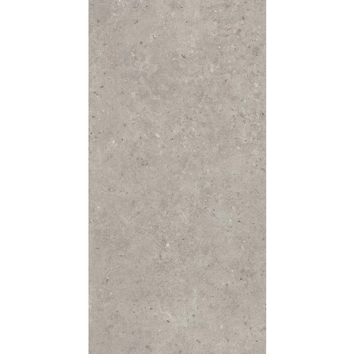 Керамогранит Kerama Marazzi Риккарди матовый серый светлый 1,434 м2 SG519920R 119,5х60 см