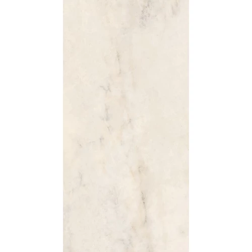 Керамогранит Tagina Patagonia Bianco матовый белый 125102 120х60 см