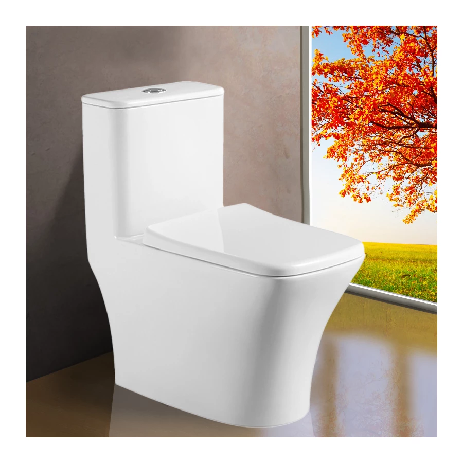 Унитаз-моноблок Azario Teano напольный горизонтальный слив сиденье дюропласт микролифт AZ-8621 69.5x37x74 см