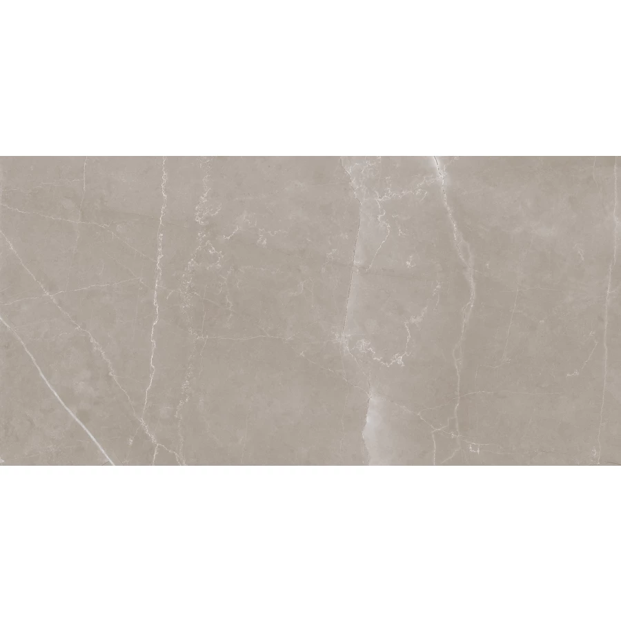 Керамогранит Lasselsberger Ceramics Блюм мокко 6260-0017 60х30 см