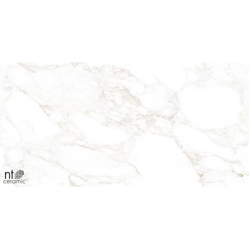 Керамогранит NT Ceramic Marmo Marble Extra Endless Матовый NTT99526M 120х60 см