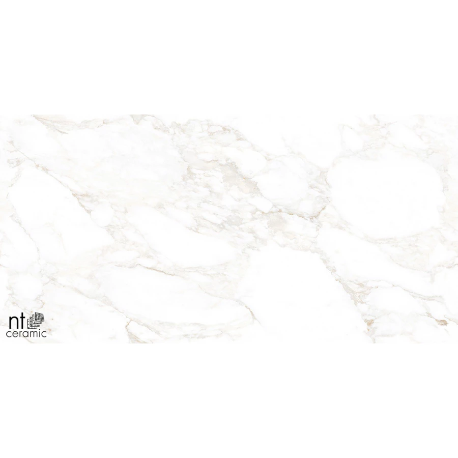 Керамогранит NT Ceramic Marmo Marble Extra Endless Матовый NTT99526M 120х60 см