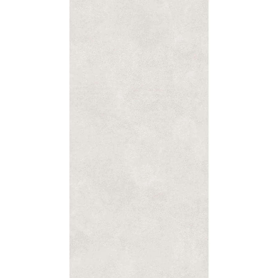 Керамогранит Lasselsberger Ceramics Иней светло-серый 6493-0137 120х60 см