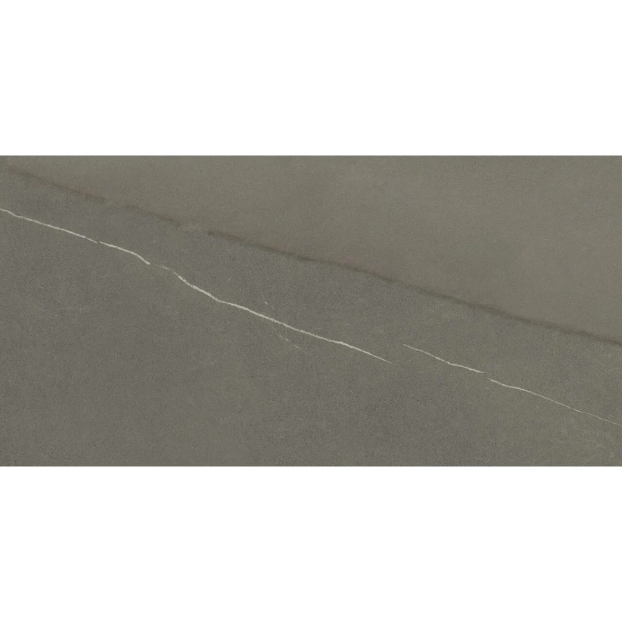 Керамогранит ProGRES Memphis матовый серый PRO 0246M 120х60 см