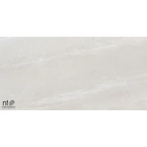 Керамогранит NT Ceramic Zeus NTT9702 Полированный ZS612NTT9702P 120х60 см