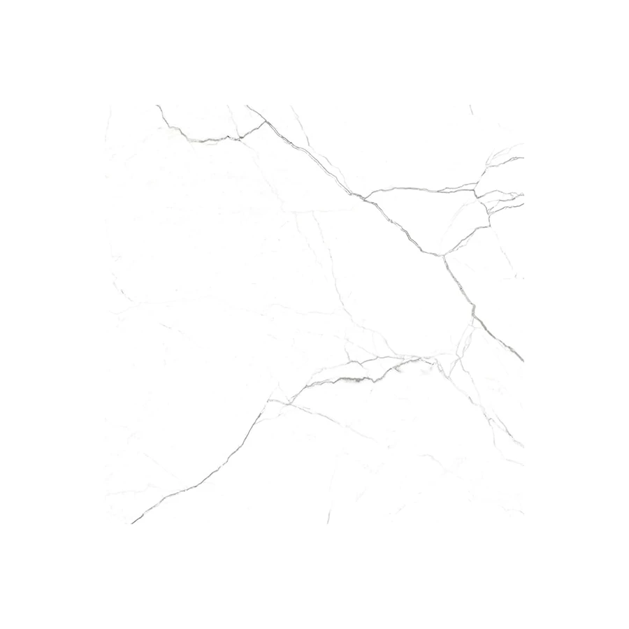 Керамогранит Гранитея Нейва Элегант глянцевый PR G391 60х60 см