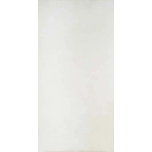 Керамогранит Fakhar Sardeni Bone матовый белый 61w1251a 119,8х59,8 см