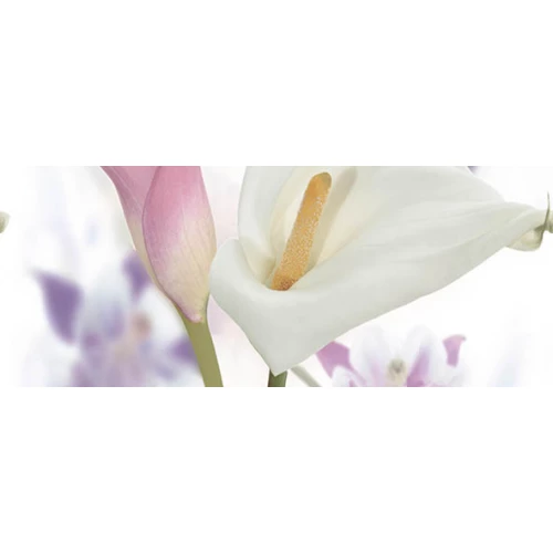 Панно Ceradim Dec Sano C 20х50 см