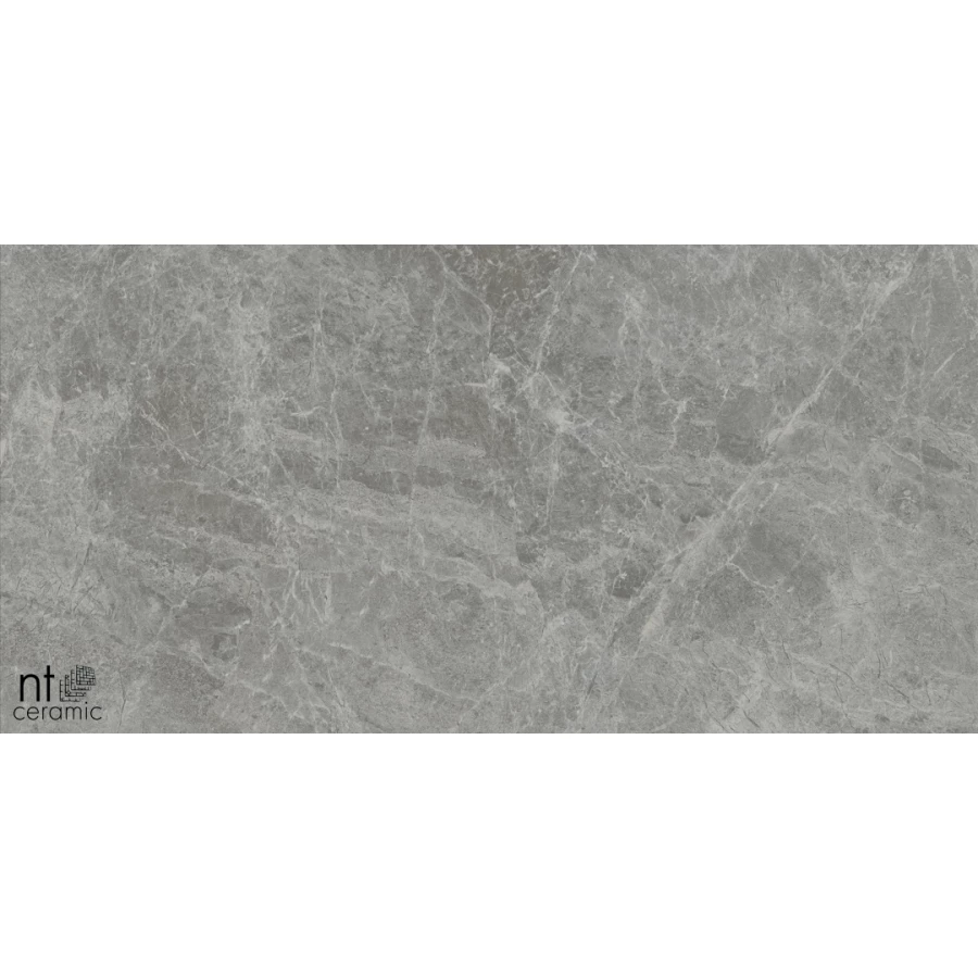 Керамогранит NT Ceramic Bright and Shiny Tundra Grey mat Матовый NTT9119M 120х60 см