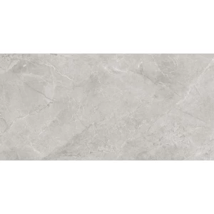 Керамогранит Laparet Pluto Silver светло-серый матовый SG50005220R 119,5х60 см