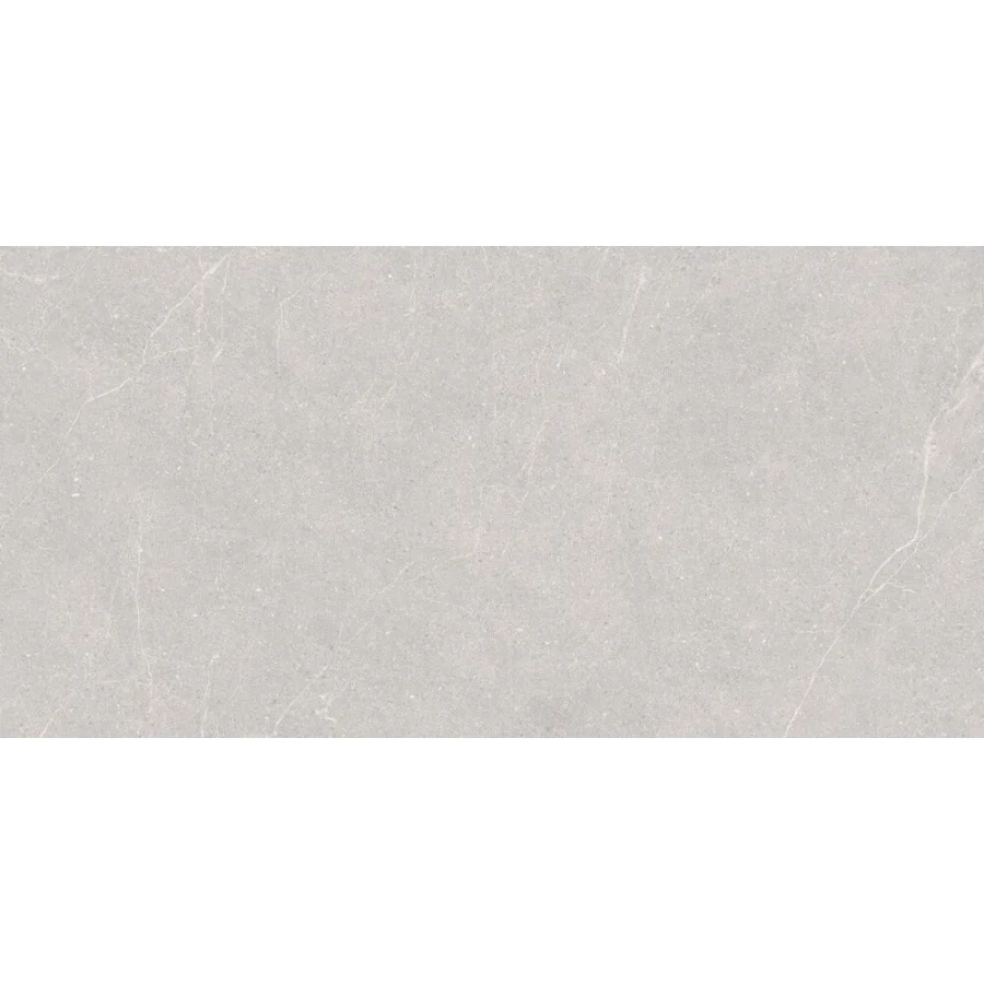 Керамогранит Duna Elenta Ash Carving светло-серый RP-238578 120х60 см