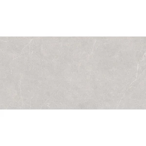 Керамогранит Duna Elenta Ash Carving светло-серый RP-238578 120х60 см