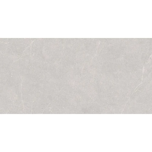 Керамогранит Duna Elenta Ash Carving светло-серый RP-238578 120х60 см