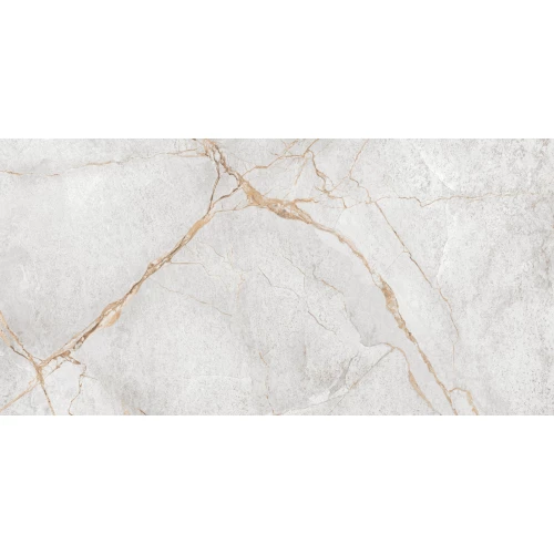 Керамогранит LCM Special Marmo Gray полированный серый 60120PEC15P 120х60 см