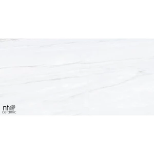 Керамогранит NT Ceramic Aurora NTT9801 Полированный AU612NTT9801P 120х60 см
