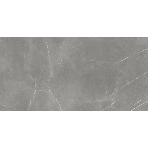 Керамогранит Atlas Concorde Forte Dei Marmi Elegant G. Rett Cer 610015000657 120x60 см