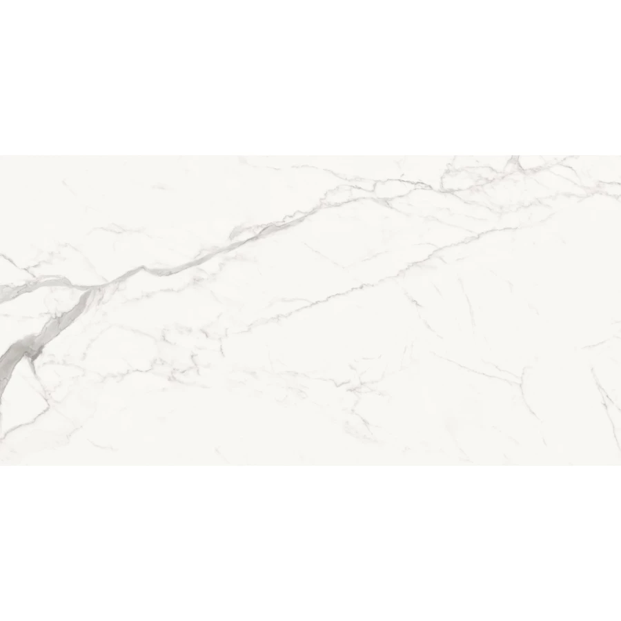 Керамогранит Delacora Porfido Carrara матовый белый 60120PFC15M 120х60 см