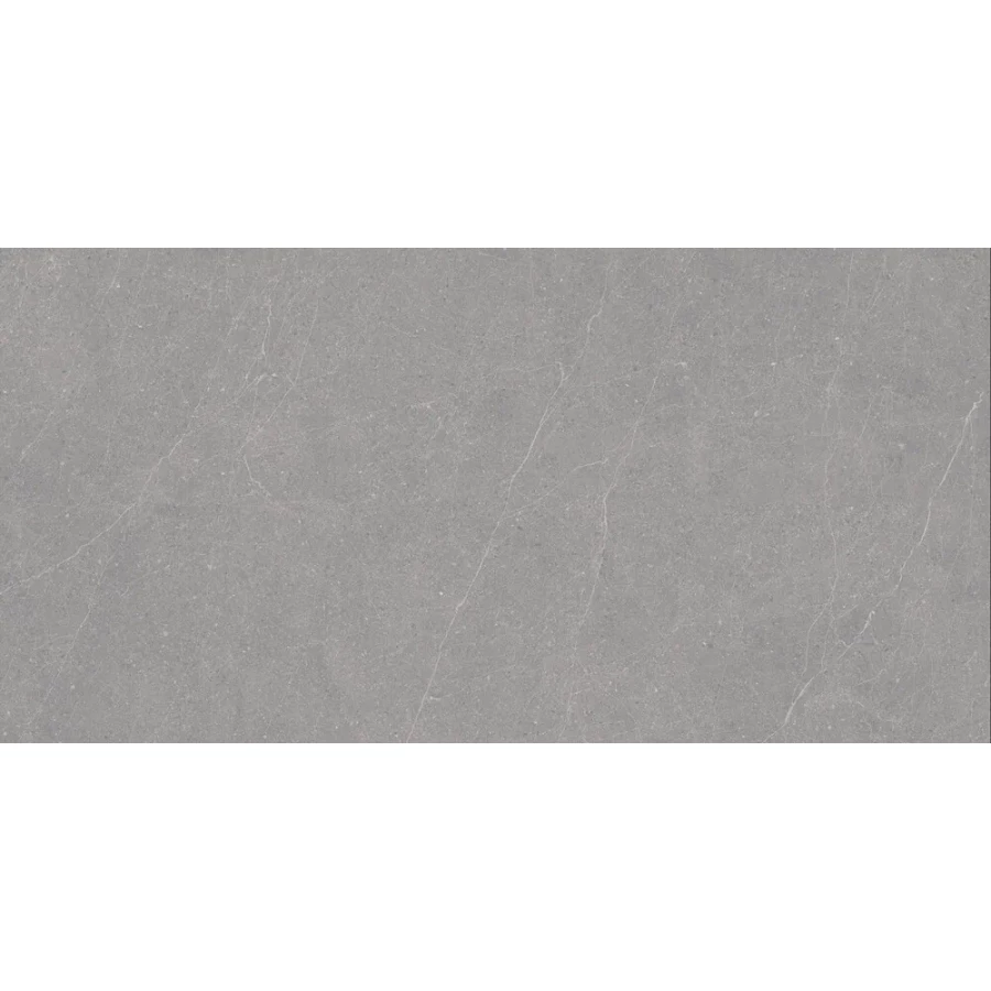 Керамогранит Duna Elenta Grey Carving темно-серый RP-238579 120х60 см