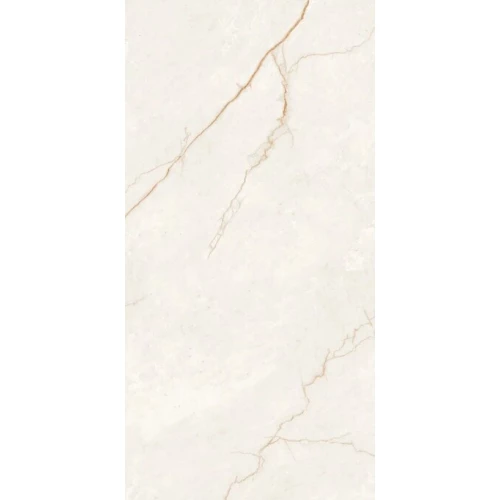 Керамогранит ProGRES Savage матовый бежевый PRO 0278M 120х60 см