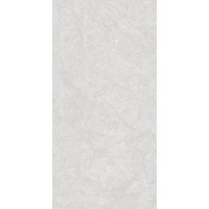 Керамогранит Seratonia Glossy Aldo Silver светло-серый 120х60 см