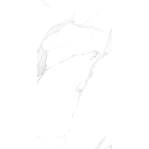 Керамогранит Belleza Orlando Bianco Carving белый 120х60 см