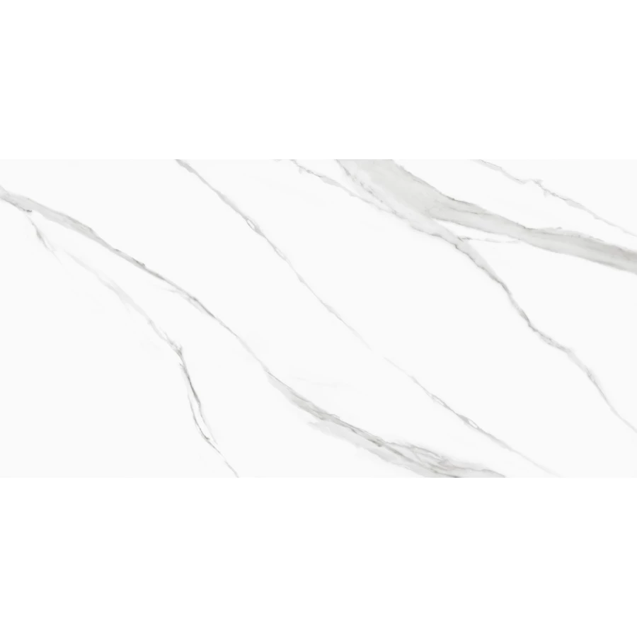 Керамогранит Delacora Life Calacatta матовый белый D120239M 120х60 см