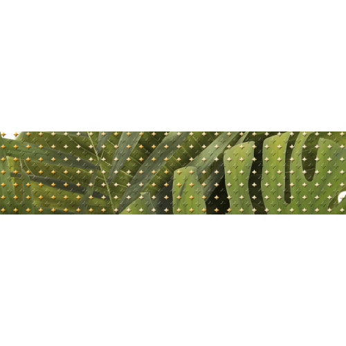 Бордюр Cersanit Tropicana TC1C021DT зеленый 6x25